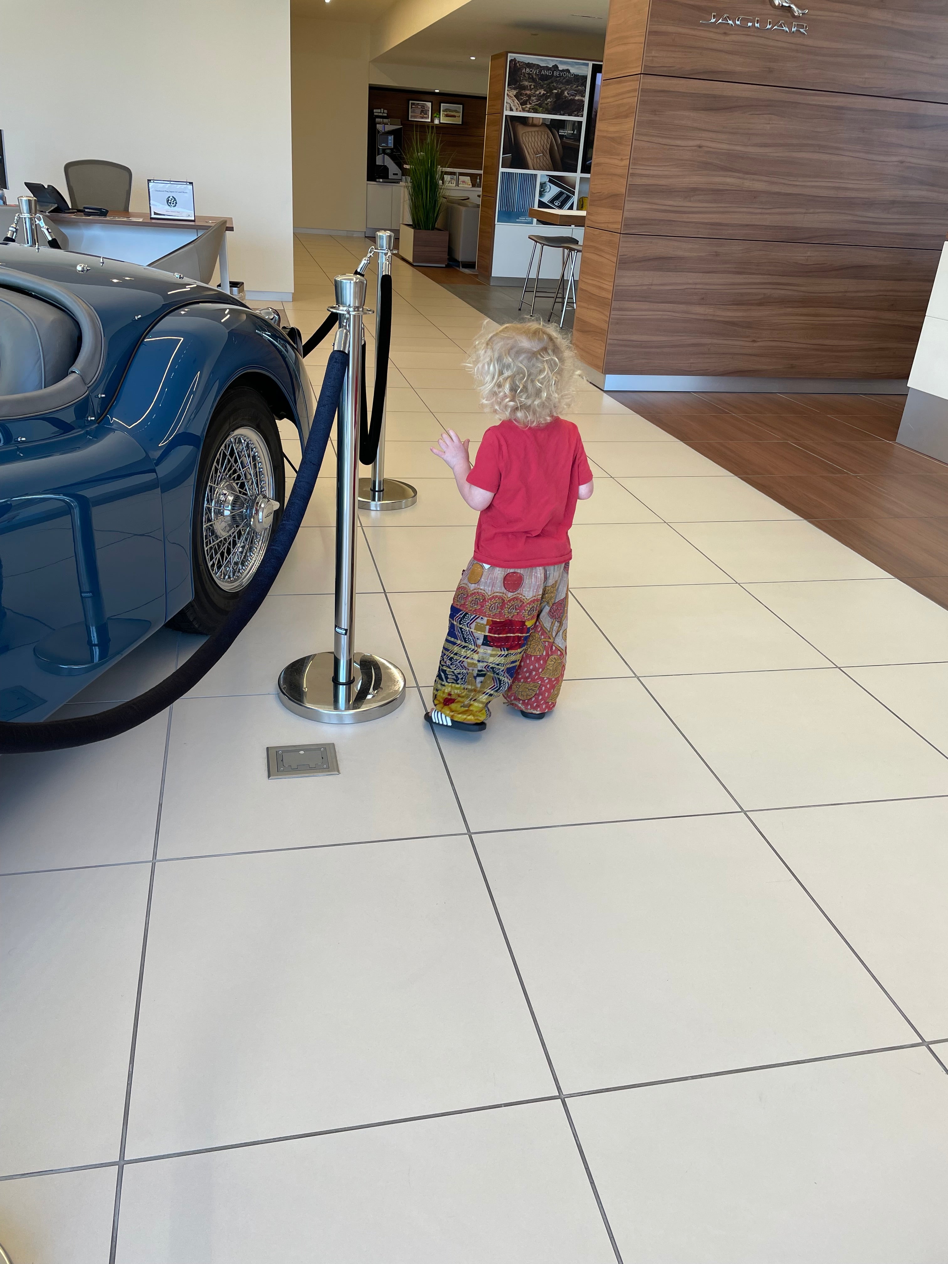 OG Harem Pant Kid/Toddler Size by Kantha Bae