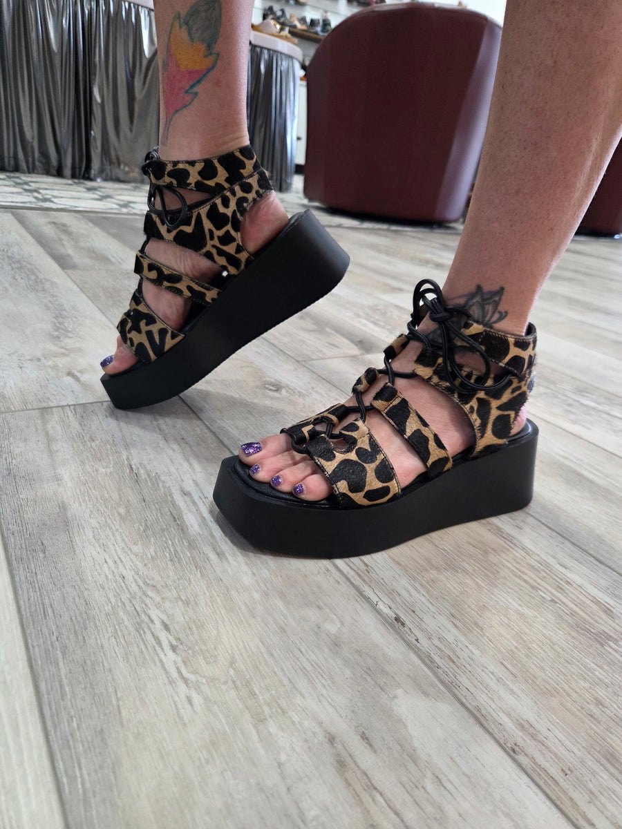 Black Leopard Laceup Shoes