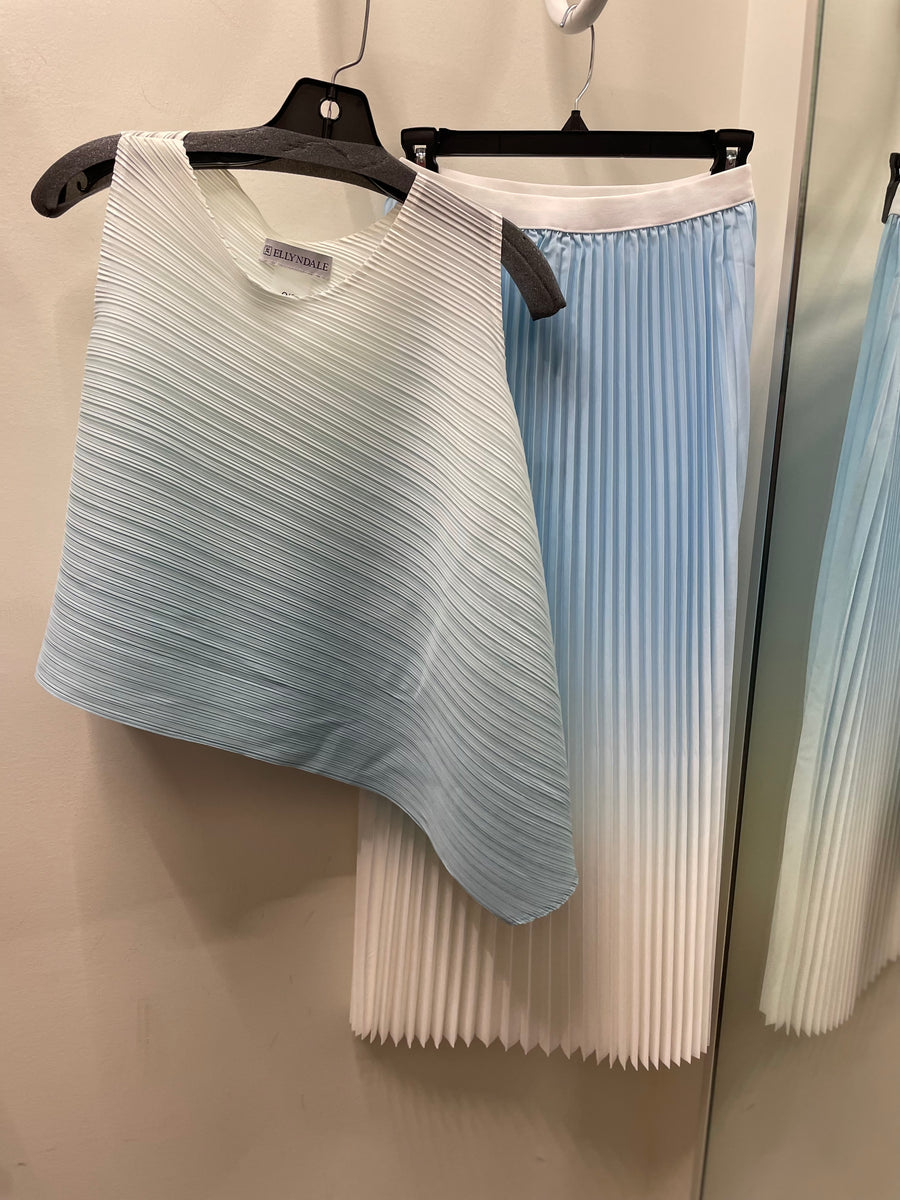 Pleated Sleeveless Top & Skirt Set by EllyNDale Robin Boutique