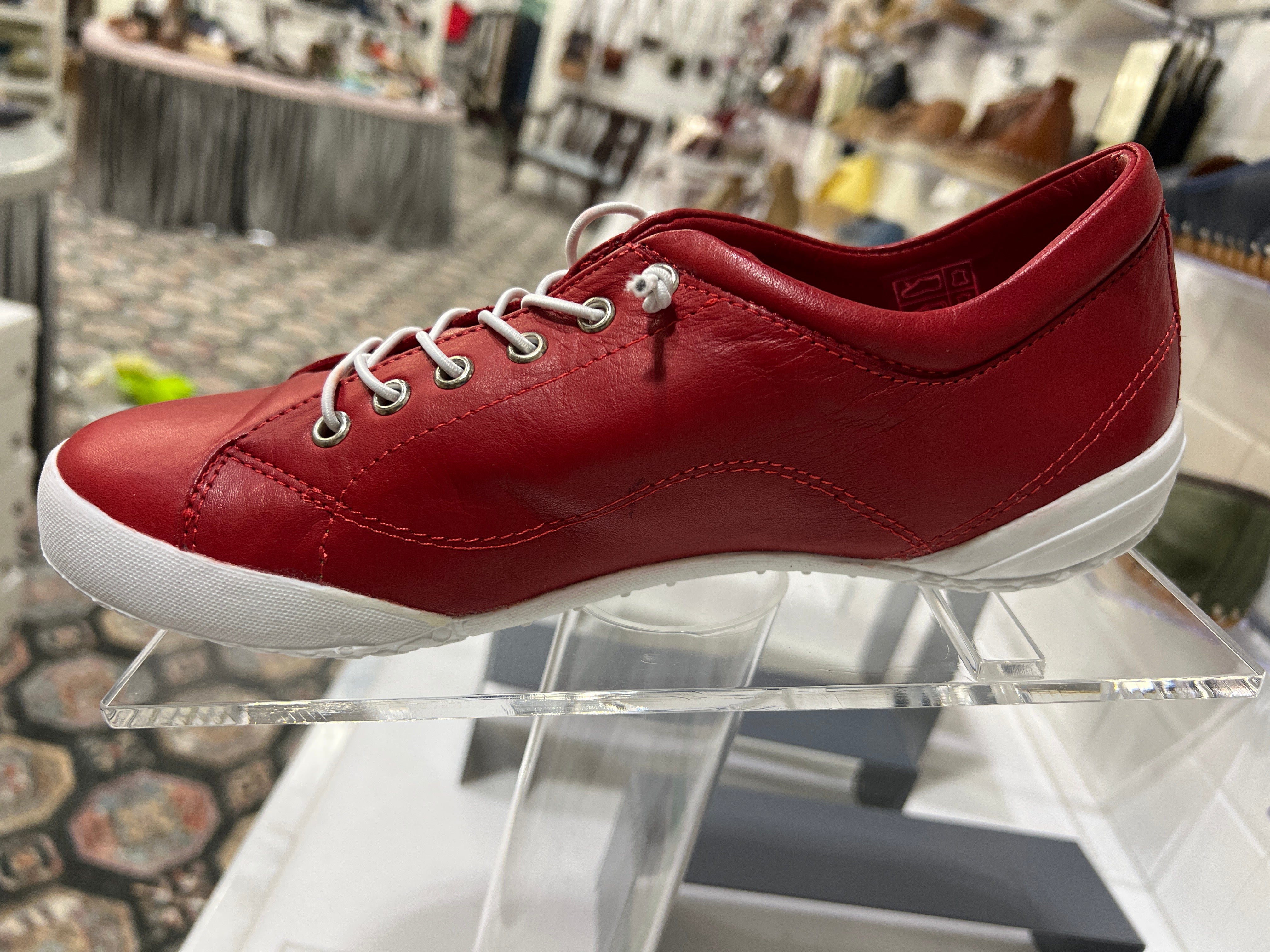 Gelato Tessa no tie Sneaker Shoes Robin Boutique