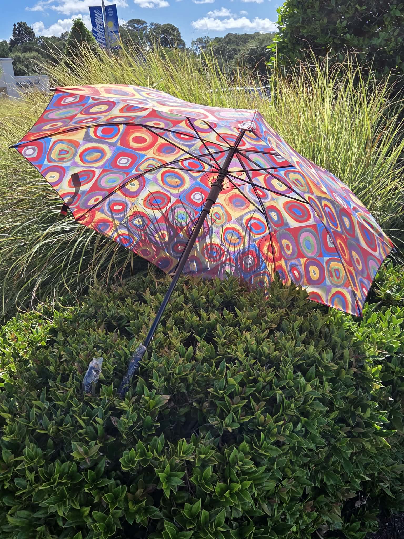 Circles by Kandinsky Umbrella