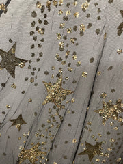 Gold Glitter Mesh Tunic Dress BC3245