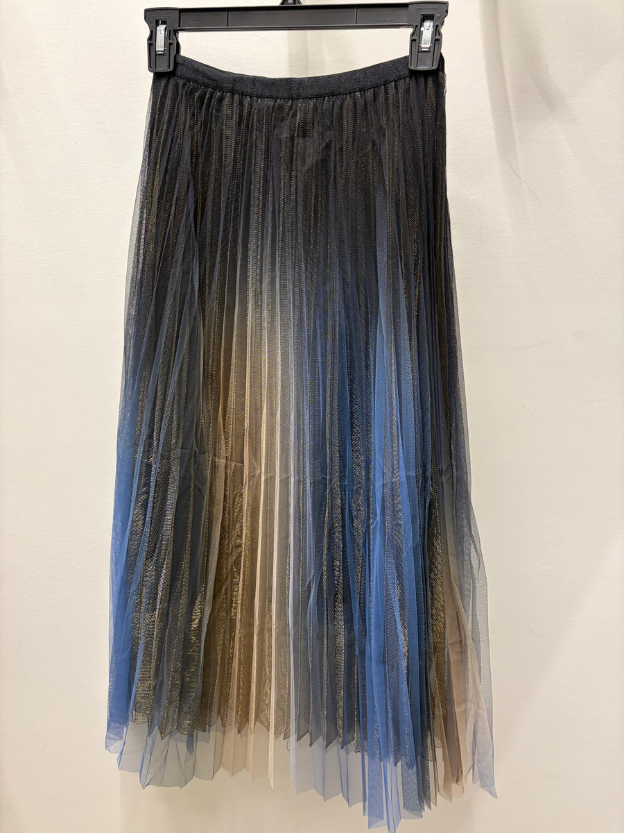 Iridescent Pleated Mesh Skirt by EllyNDale