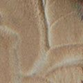L'Artiste Blissful Sandals