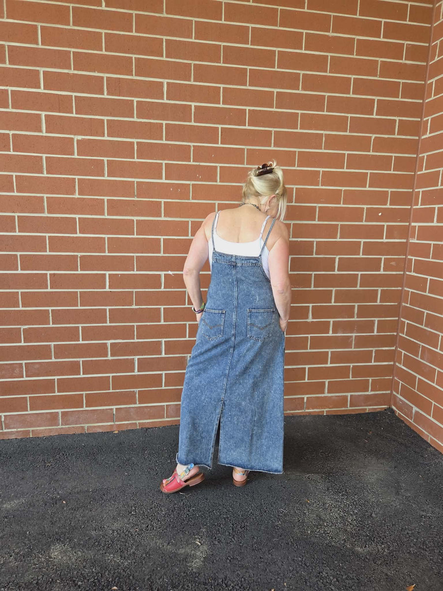 Denim Overall Dress by Davi & Dani