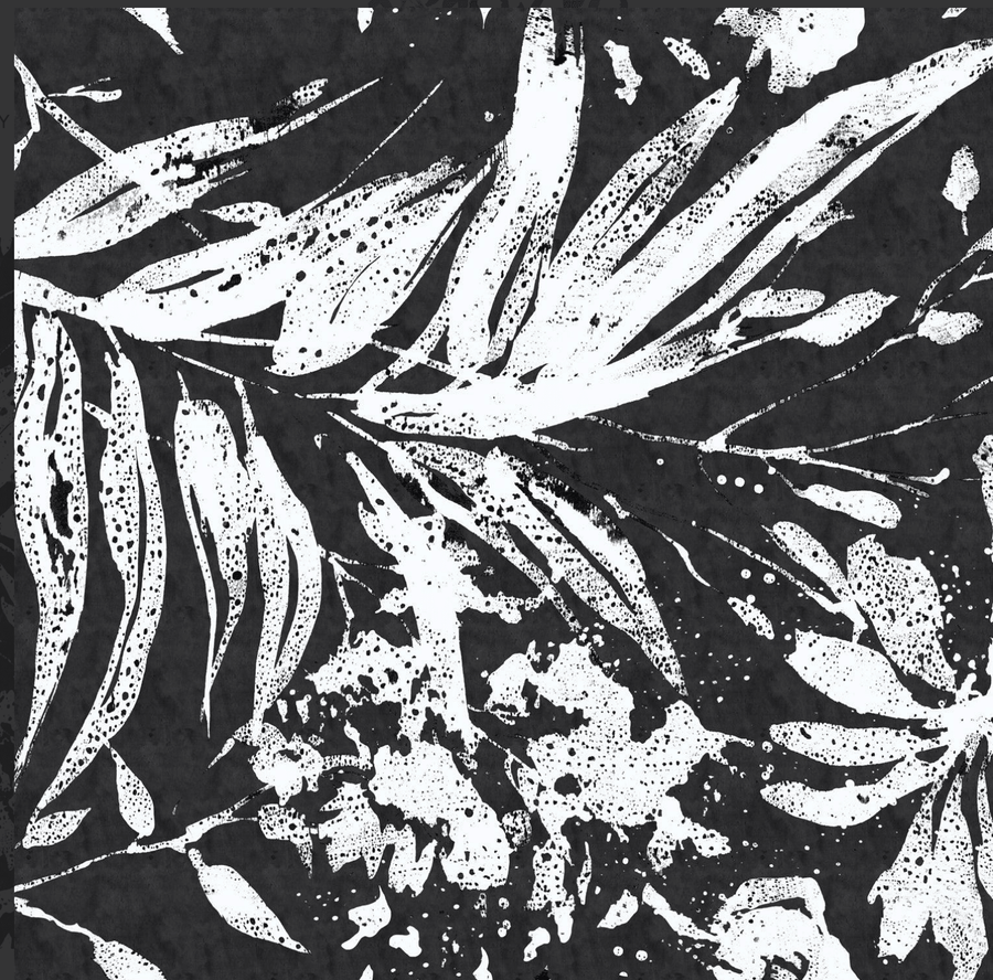 "Lau kala Black” Sleeveless Black Natalie Dress W3127 LAKE B by Jams World - Robin Boutique-Boutique 