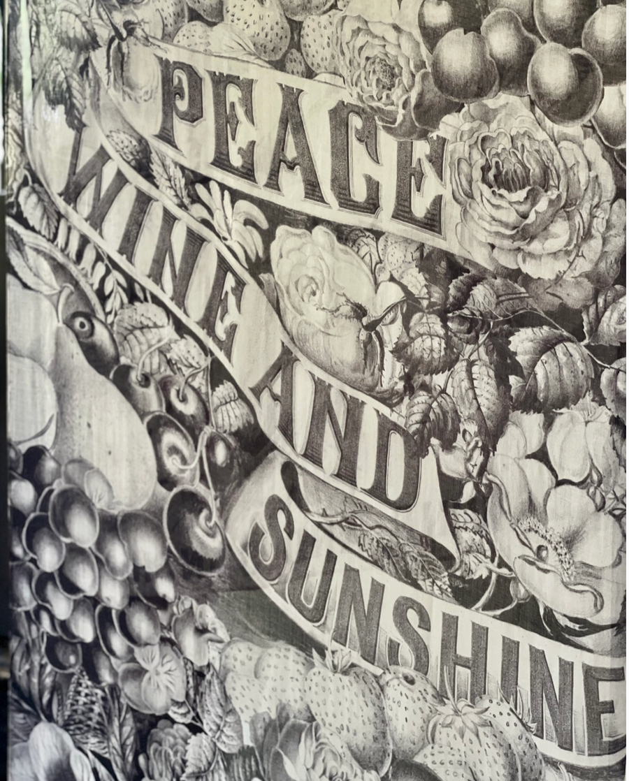 Bella Notte Scarf by Market of Stars