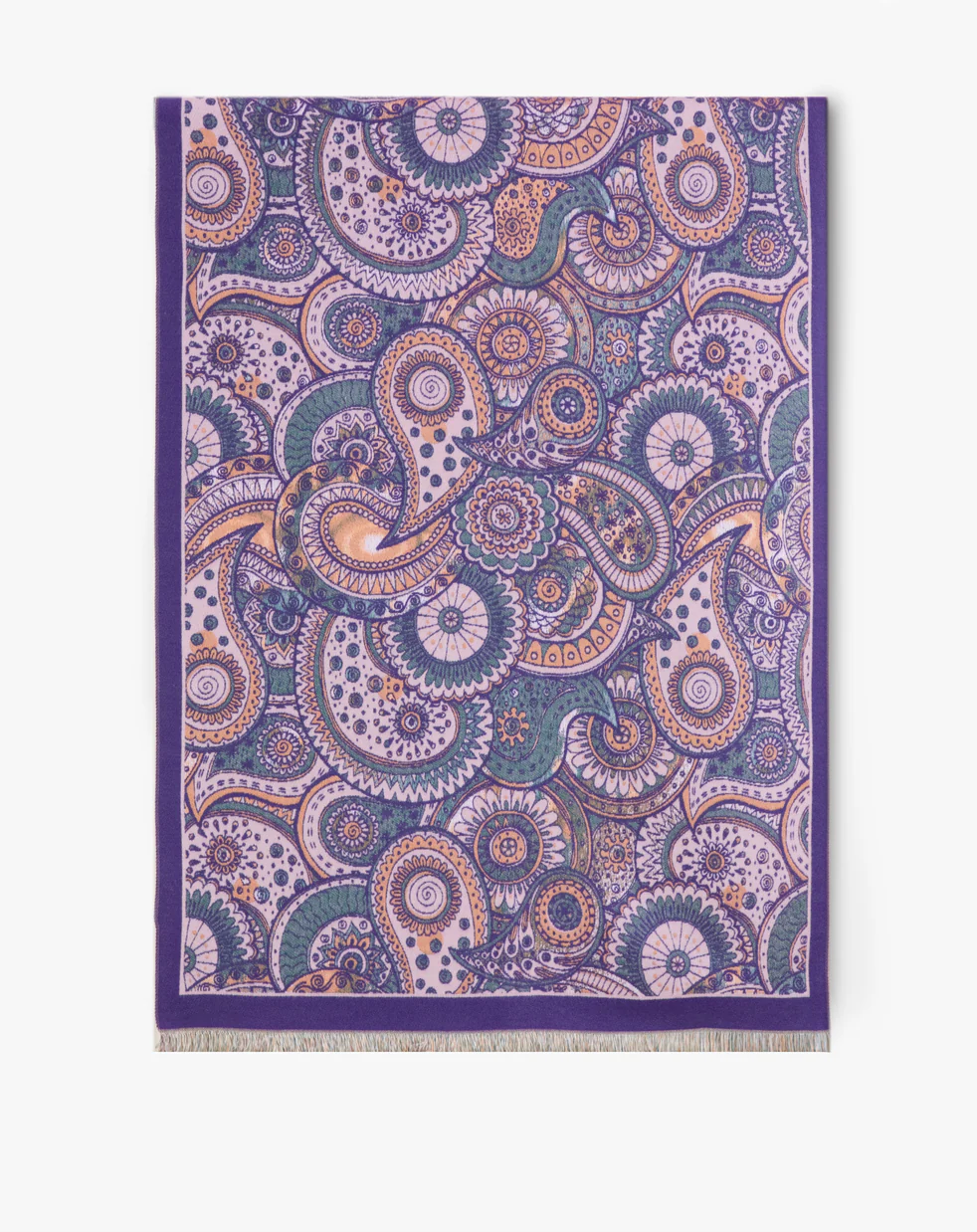 Paisley Overlap Solid Border Scarf & Baroque Floral Paisley Scarf Robin Boutique
