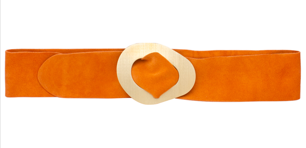 Suede Leather Belt with Gold Buckle Robin Booutique