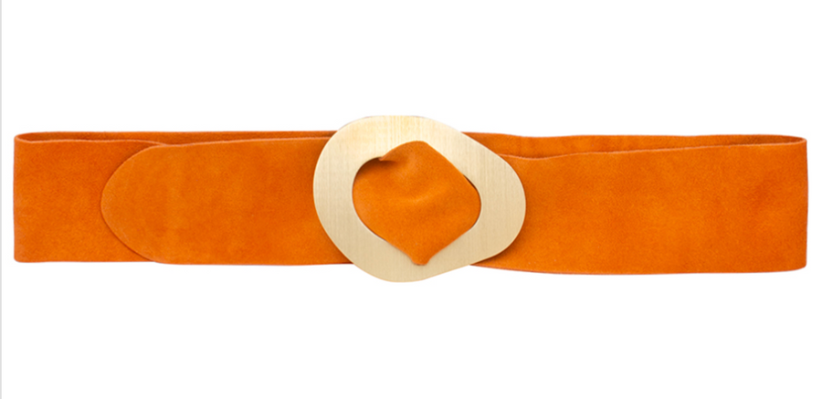 Suede Leather Belt with Gold Buckle Robin Booutique