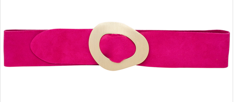 Suede Leather Belt with Gold Buckle Robin Booutique