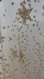 Gold Glitter Mesh Tunic Dress BC3245